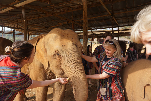 Cultural and historical training activity at an elephant sanctuary in Chiang Mai, Thailand